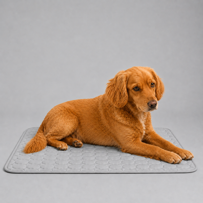 Cuubby CoolRest™ Ice-Silk Cooling Dog Mat
