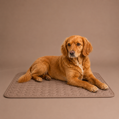 Cuubby CoolRest™ Ice-Silk Cooling Dog Mat