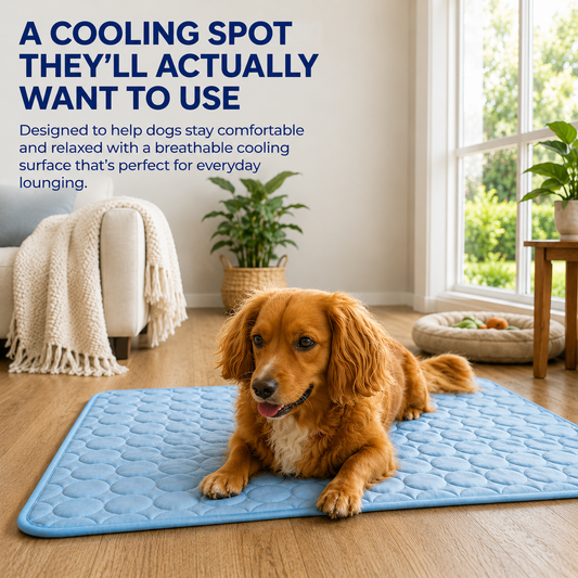 CoolRest™ Ice-Silk Cooling Dog Mat