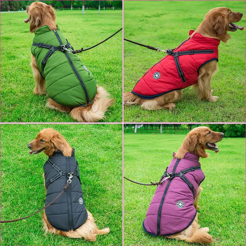 No Pull Dog Jacket Harness